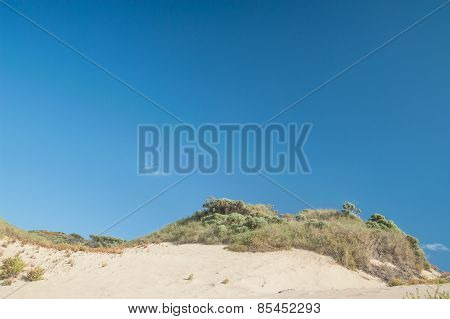 The Crest Of The Dune