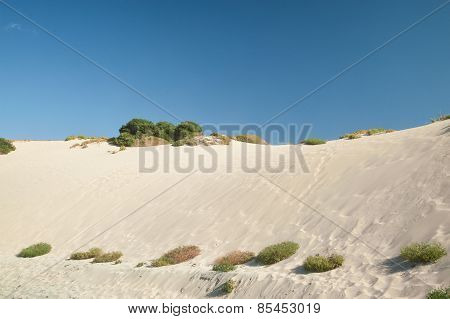 On The Sandhill