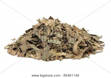 Loquat leaf used in chinese herbal medicine over white background. Pi pa ye. Folium eriobatryae japonicae.