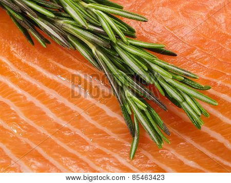 Salmon Steak