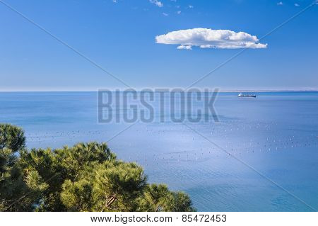 Green and blu, Marine Scene