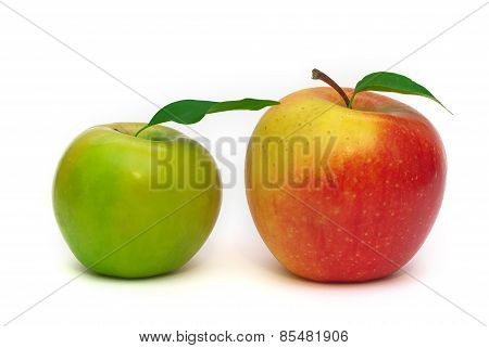 Red And Green Apple