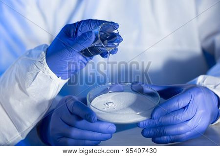 science, chemistry and people concept - close up of scientists hands with glass and chemical powder in petri dish making test or research at laboratory