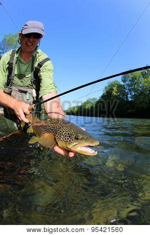 Closeup of fly-fisherman holding brown truit in river
