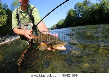 Closeup of fly-fisherman holding brown truit in river