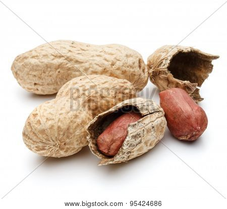 peanut pod or arachis isolated on white background cutout