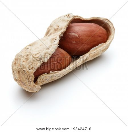 peanut pod or arachis isolated on white background cutout