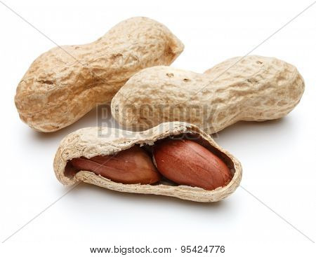 peanut pod or arachis isolated on white background cutout