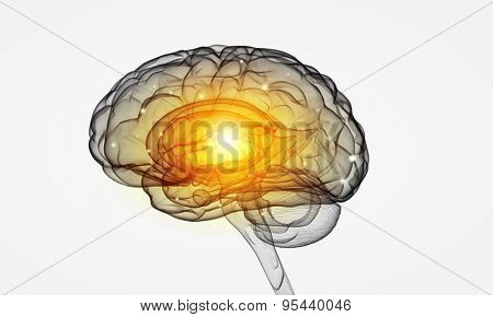 Concept of human intelligence with human brain on white background