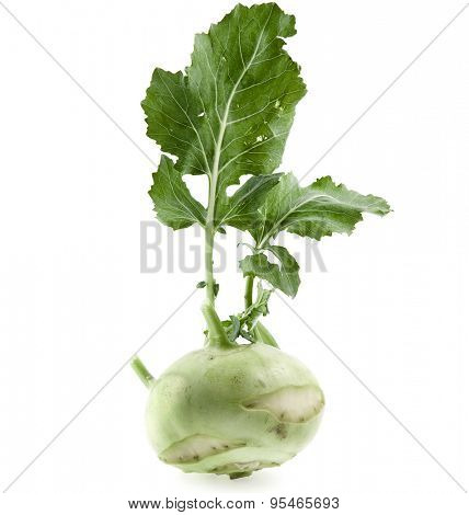 kohlrabi cabbage isolated on white background