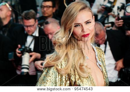 Cannes, France - May 16, 2015: Natasha Poly attends the Premiere of 'The Sea Of Trees' during the 68th annual Cannes Film Festival on May 16, 2015 in Cannes, France. 