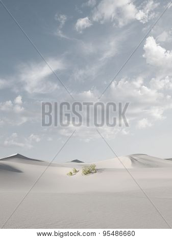 dunes