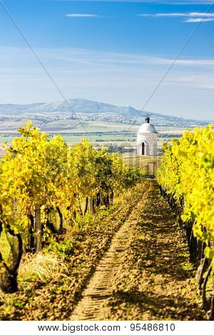 chapel with vineyard near Velke Bilovice, Czech Republic