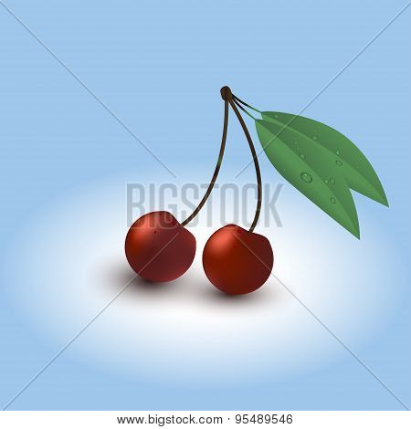 Two ripe cherry with leaves and dewdrops.