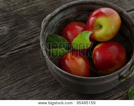 harvest
