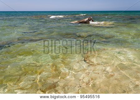 Caspian Sea In The Summer.