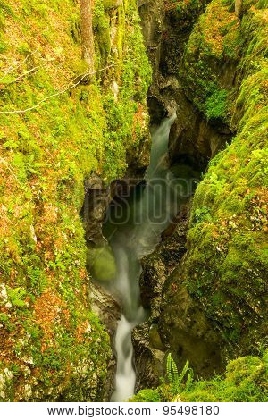 Green canyon of river Mostnica