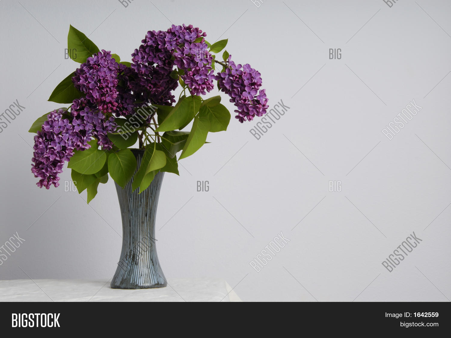 Lilacs Vase Image & Photo (Free Trial) Bigstock