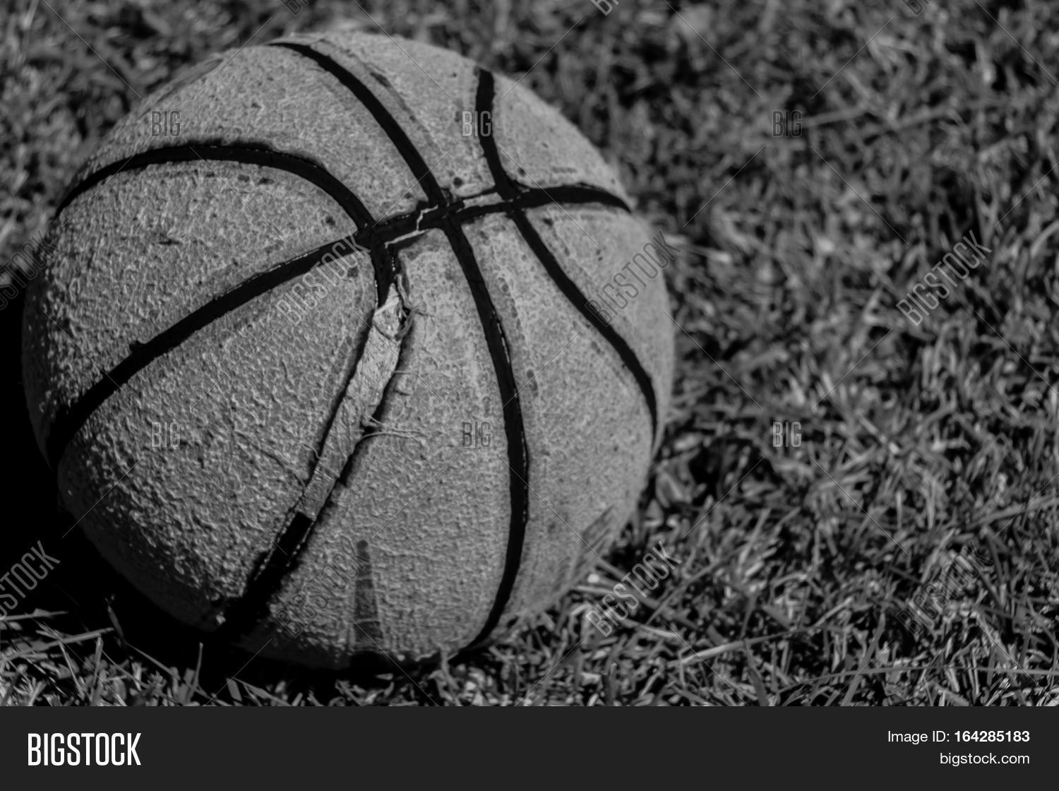 Basketball Black And White Photography 164285183