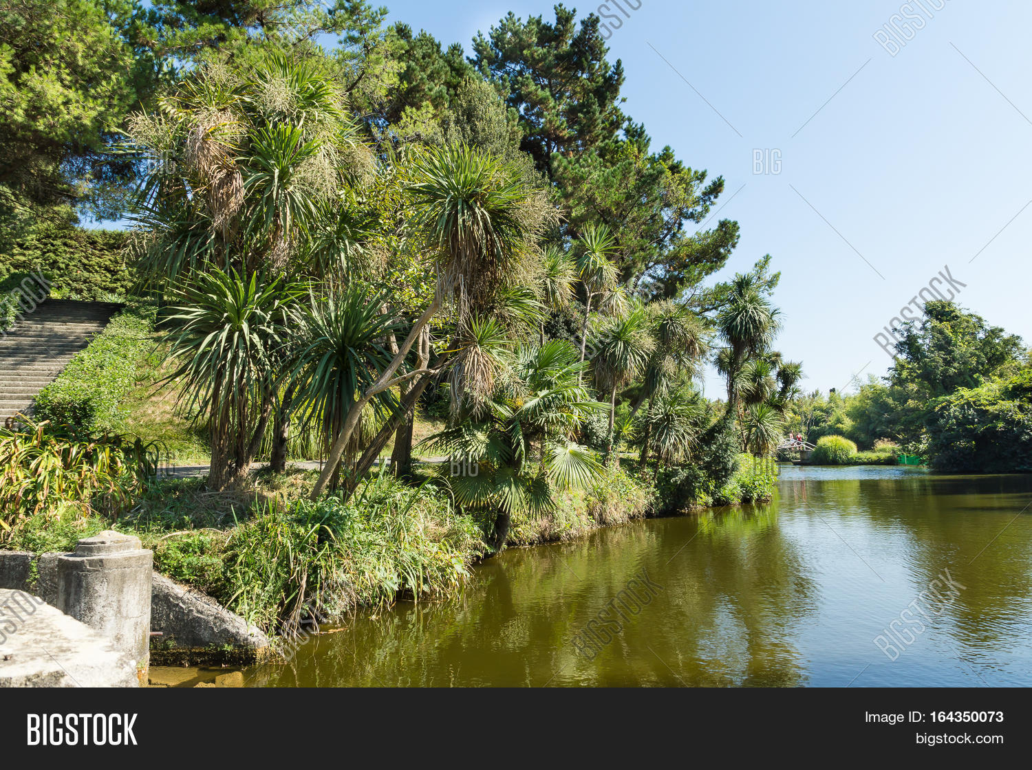 Palm Trees Over Water Image & Photo (Free Trial) Bigstock