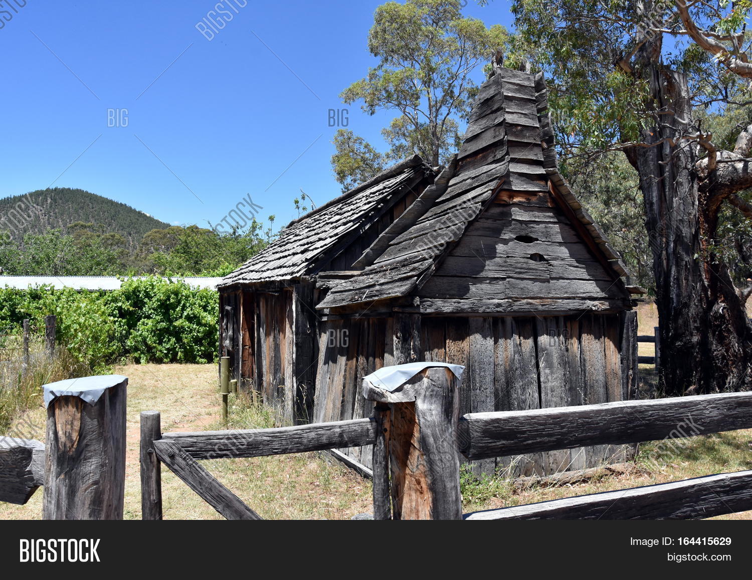 Suggan Buggan Image & Photo (Free Trial) Bigstock