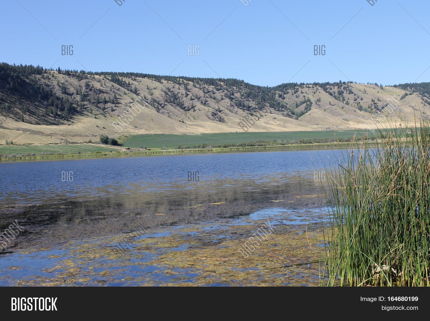 Alkali Lake Nature Image & Photo (Free Trial) Bigstock