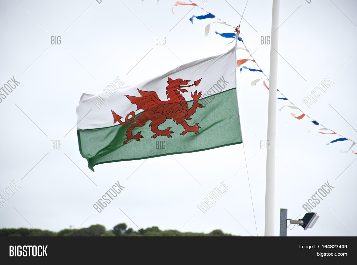 Welsh Flag, Flag Wales Image & Photo (Free Trial) Bigstock