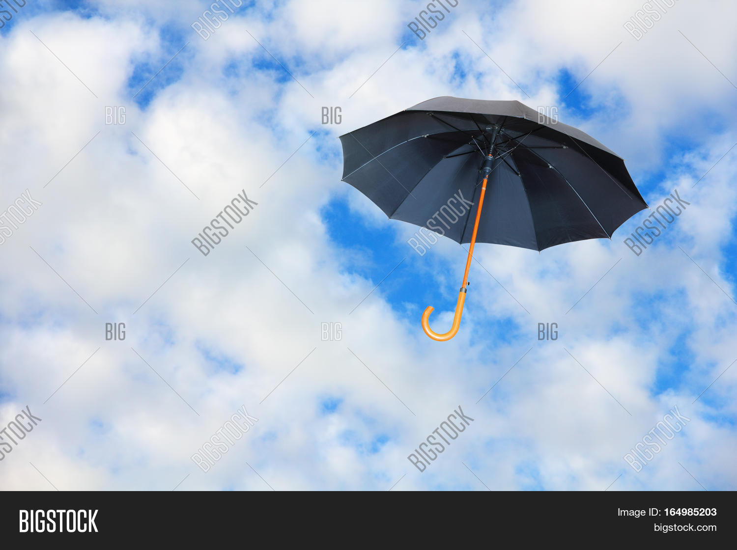 Black Umbrella Flies Image & Photo (Free Trial) Bigstock