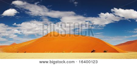 Klitterne af Namib ørkenen