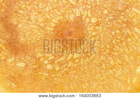Texture of a cooked thin pancake closeup