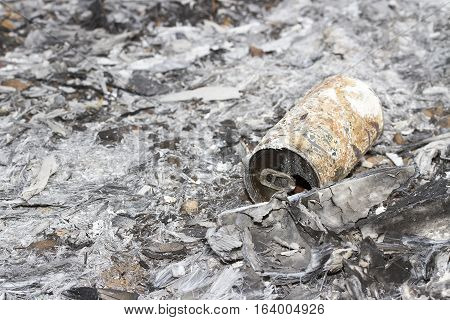 Burned Out Ashes of twigs grass and cannsd burns