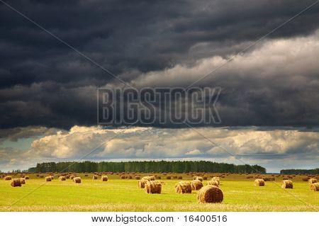 Krajobraz hayfield i burzowe chmury