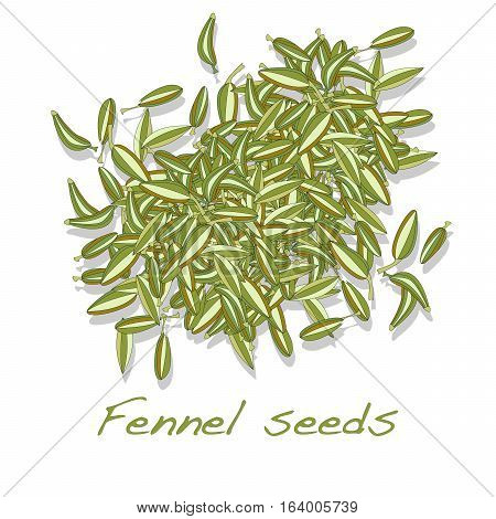 fennel seeds image on white background .