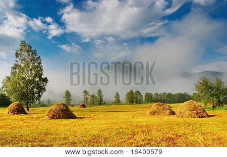 Krajina s hayfield
