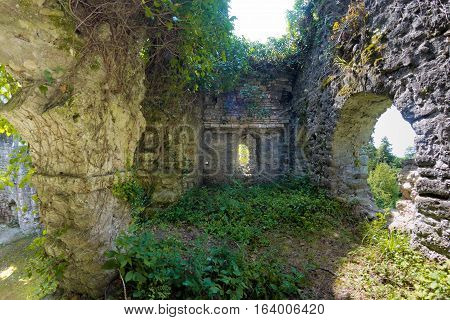 Overgrown ruins of ancient church VI-VII century, Abkhazia
