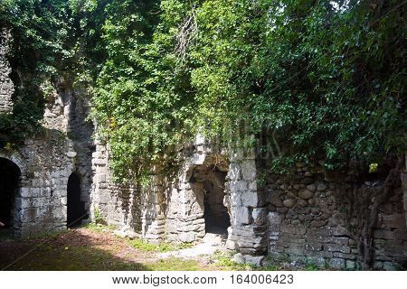 Overgrown ruins of ancient church VI-VII century, Abkhazia