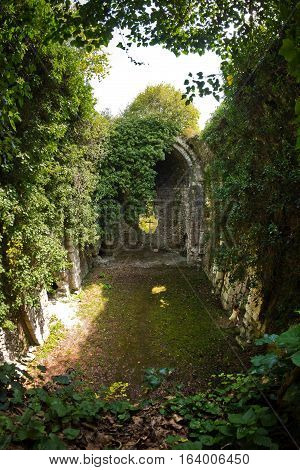 Overgrown ruins of ancient church VI-VII century, Abkhazia