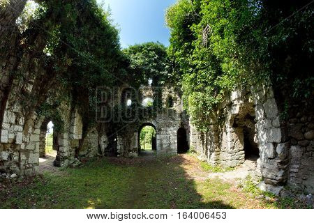 Overgrown ruins of ancient church VI-VII century, Abkhazia
