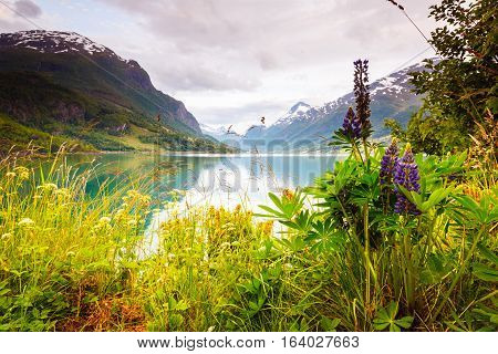 Tourism vacation and travel. Mountains landscape dark stormy clouds and fjord in Norway Scandinavia Europe. Beautiful nature