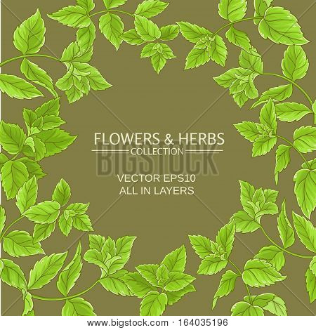 vector frame with peppermint green leaves on color background