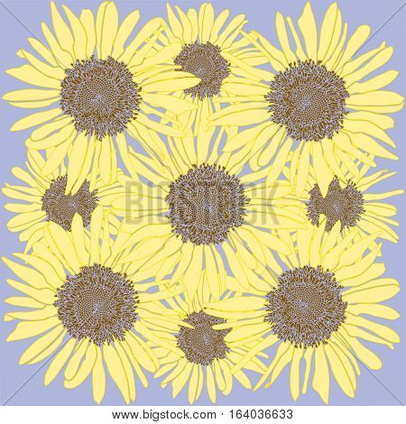 group of blooming yellow sunflowers vector illustration