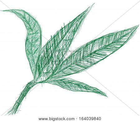 LEAVE ILLUSTRATION SKETCH. ART LINE SKETCH ILLUSTRATION. GREEN LEAVE DRAW.