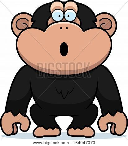 Chimp Surprised