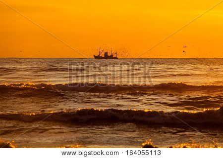 Seiner On A Black Sea, Poti, Georgia