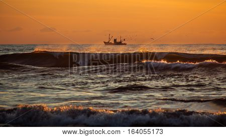 Seiner On A Black Sea, Poti, Georgia