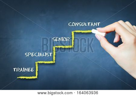 What is your career level or measuring your work experience stages