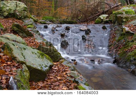 Small forest brook the clear water gently flowing through forest during winter