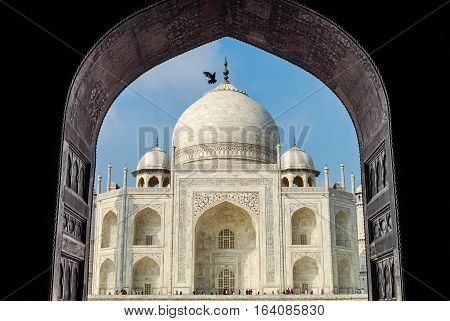 Taj Mahal and flying pigeon in the arch. Agra, India.