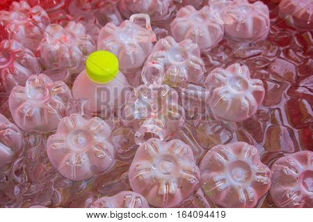 Drinking water bottles are soaked in a bucket of ice.