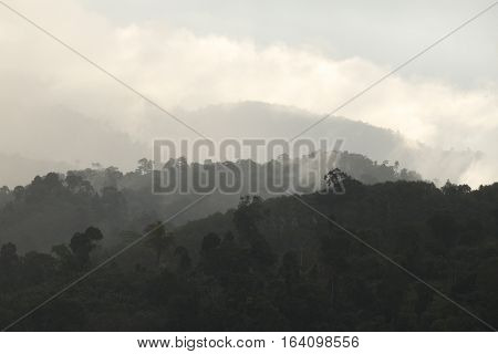 The Sea of Mist at Krungshing Nakhon Si Thammarat.